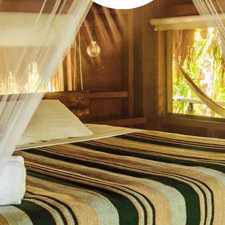 Vida Silvestre * Tulum