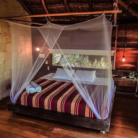 Lodge Vida Silvestre Tulum