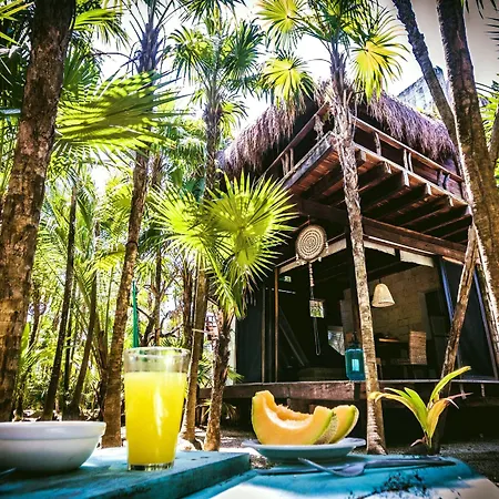 Lodge Vida Silvestre
