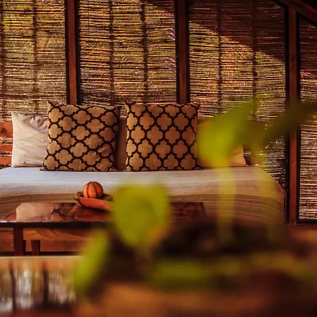 Lodge Vida Silvestre