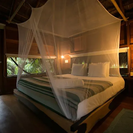 Vida Silvestre * Tulum