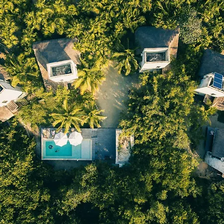 Vida Silvestre Tulum