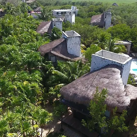 Vida Silvestre Tulum