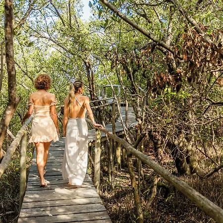 Lodge Vida Silvestre Tulum