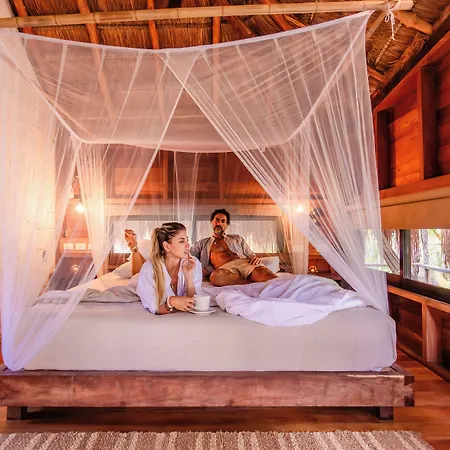 Vida Silvestre Lodge *