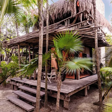 Vida Silvestre Lodge Tulum