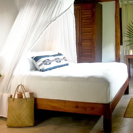 Casa Violeta Hotel Tulum