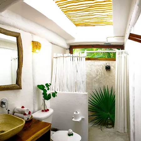 Casa Violeta 3*