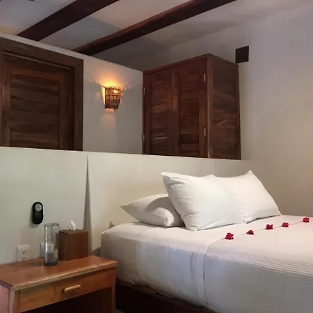 Casa Violeta