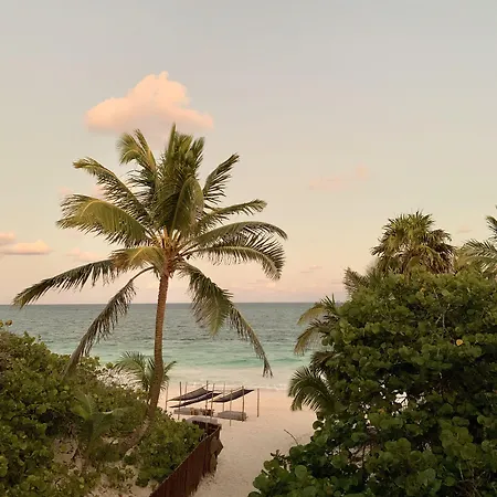 Libelula Beachfront 4* Tulum