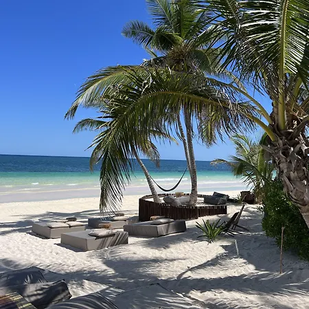 Libelula Beachfront Hotel 4*
