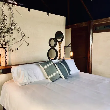 Hotel Libelula Beachfront 4*