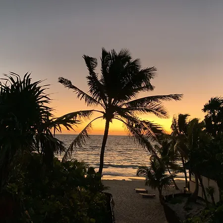 Hotel Libelula Beachfront