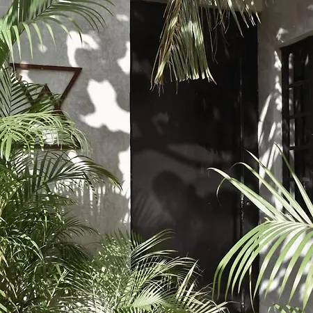 Amor Rooms Hotel