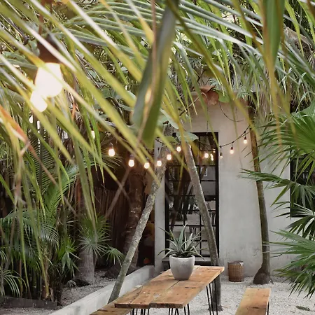Hotel Amor Rooms