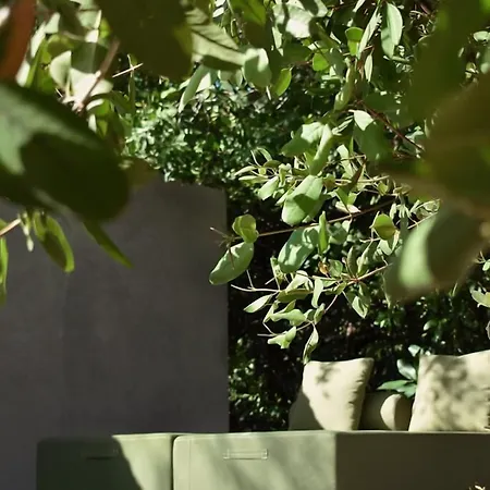 Hotel Amor Rooms