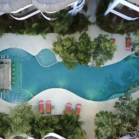 Hotel Aluna