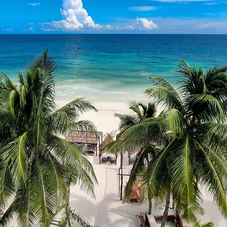 Bt Live Located At The Party Zone 4* Tulum