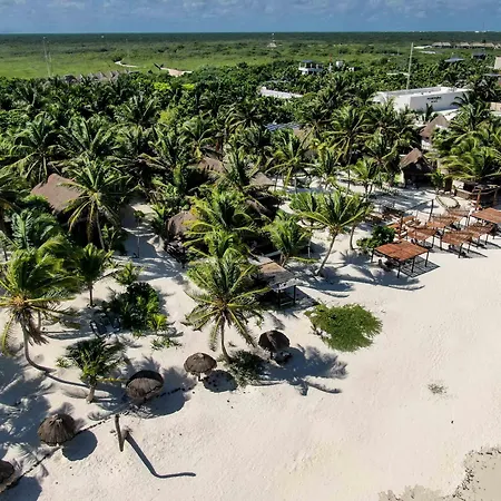 Bt Live Located At The Party Zone 4* Tulum