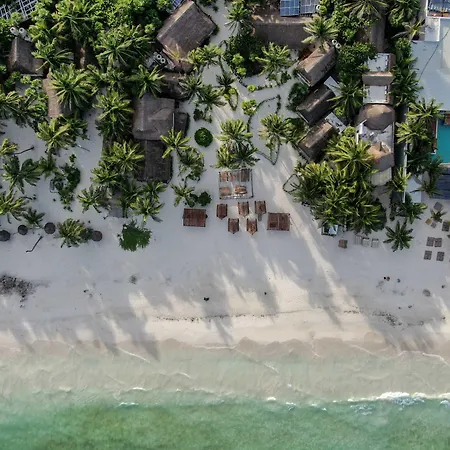 Bt Live Located At The Party Zone Tulum