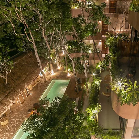 Zereno Club Access