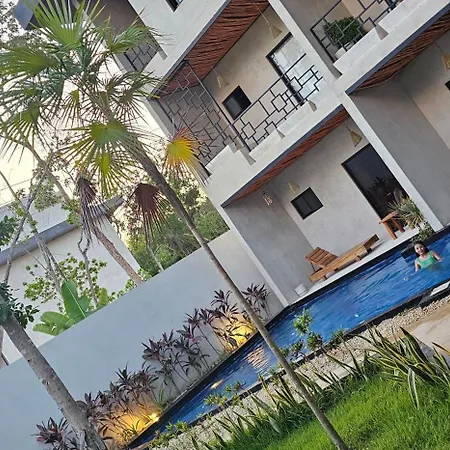 Luxury Penthouse With Private Plunge Pool In
