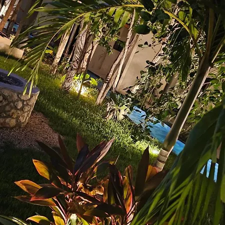 Luxury Penthouse With Private Plunge Pool In Apartment *