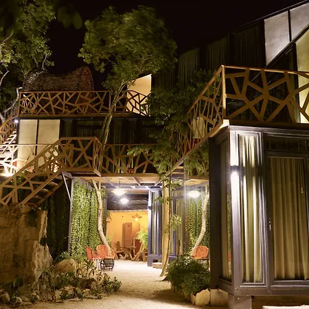 Bufo Alvarius Hotel