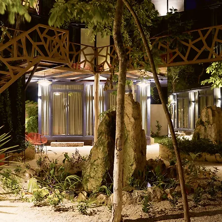 Bufo Alvarius 2* Tulum