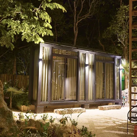 Bufo Alvarius Hotel Tulum