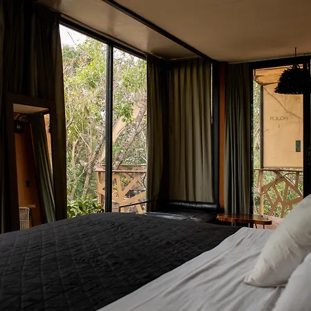 Hotel Bufo Alvarius