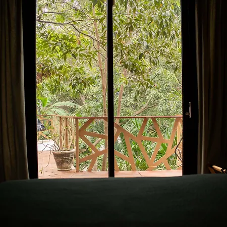 Bufo Alvarius Hotel