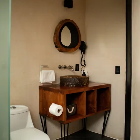 Bufo Alvarius Hotel