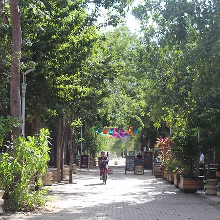 Calea Boutique 4* Tulum