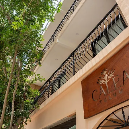 Hotel Calea Boutique 4*