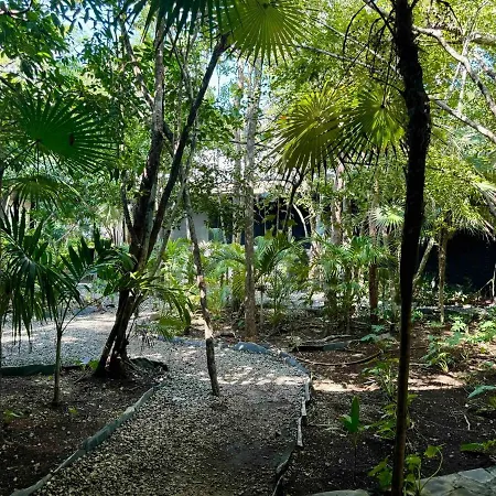 Kataluum- Luxurious Eco-chic Ph With Pool * Tulum