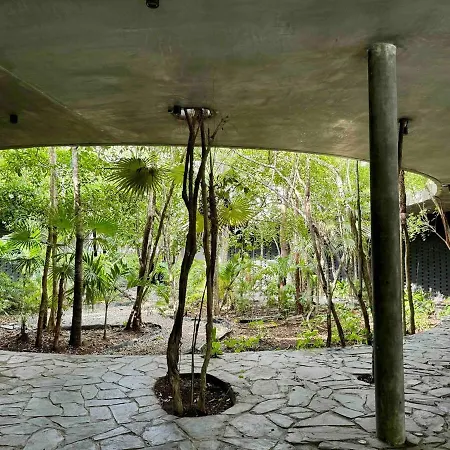 Villa Kataluum- Luxurious Eco-chic Ph With Pool Tulum