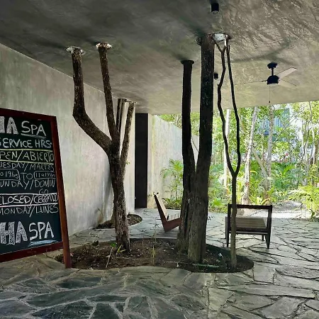Kataluum- Luxurious Eco-chic Ph With Pool Tulum