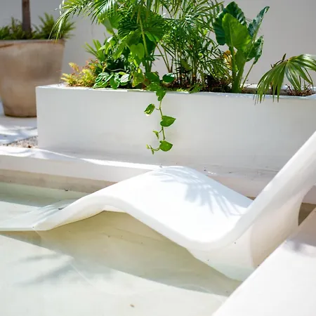 Luxury Jungle With Shared Pool Apartamento