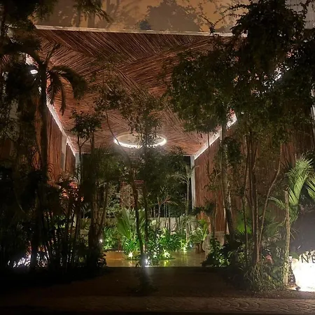 Private Jacuzzi Jungle View In La Veleta * Tulum