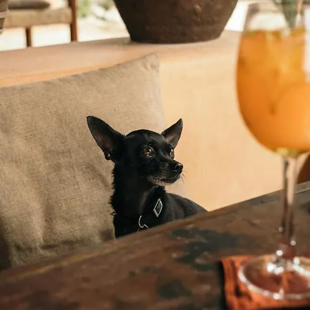 Chiringuito Tulum