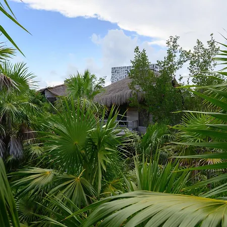 Vida Silvestre Lodge *