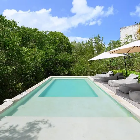 Lodge Vida Silvestre