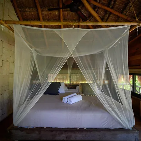 Vida Silvestre * Tulum