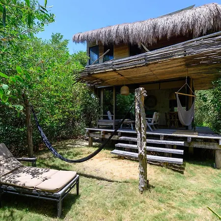 Vida Silvestre * Tulum