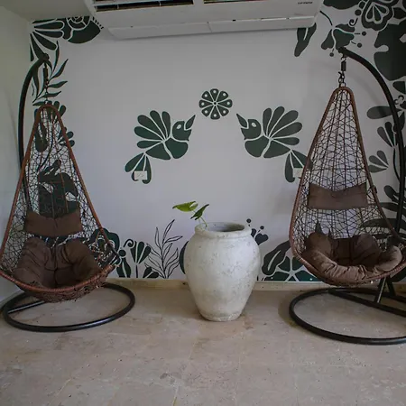 Hotel Siente & Cenote Club