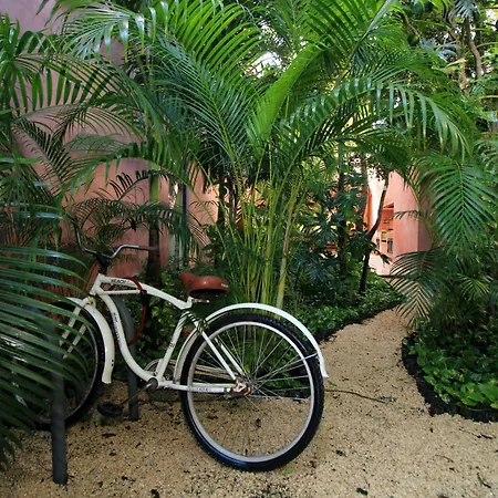 Querido Hideaway In Aldea Zama With Pool Apartment Tulum