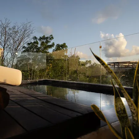Luxury Penthouse With 3-level, 3240 Sqft , Private Pool, Terrace And Roof At Jungle