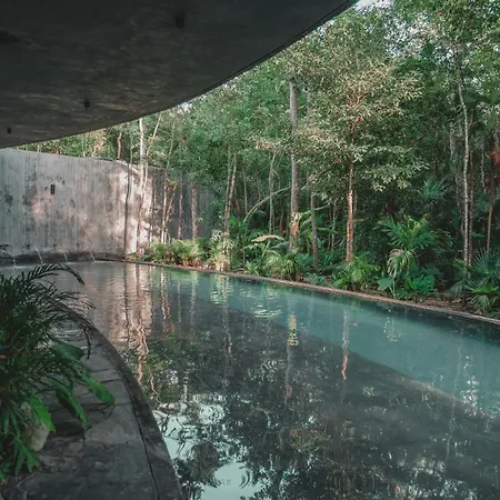 Apartamento Luxury Penthouse With 3-level, 3240 Sqft , Private Pool, Terrace And Roof At Jungle Tulum