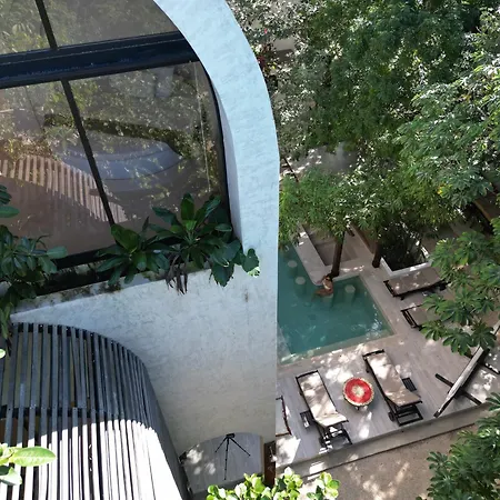 Casa Tira - Your Luxury Jungle Mansion In Villa